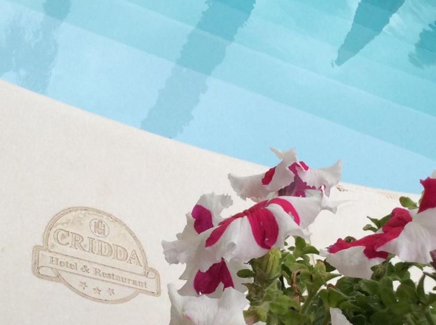 Cridda Hotel & Restaurant Gizzeria Eksteriør bilde